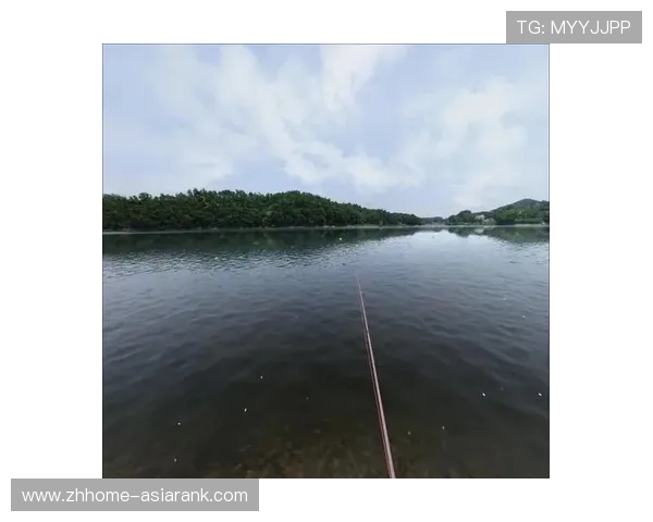 最受欢迎的钓鱼游戏推荐体验 不同玩法让你享受最真实的钓鱼乐趣